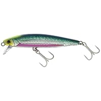 ジャッカル　ビックバッカー　アンチョピート120s 8個 ビッグバッカーアンチョピード SL (OS) - SALT WATER 海釣り